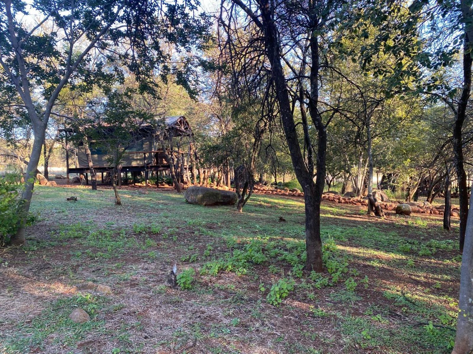 Soetvlei Tented Camp Campismo de Luxo *