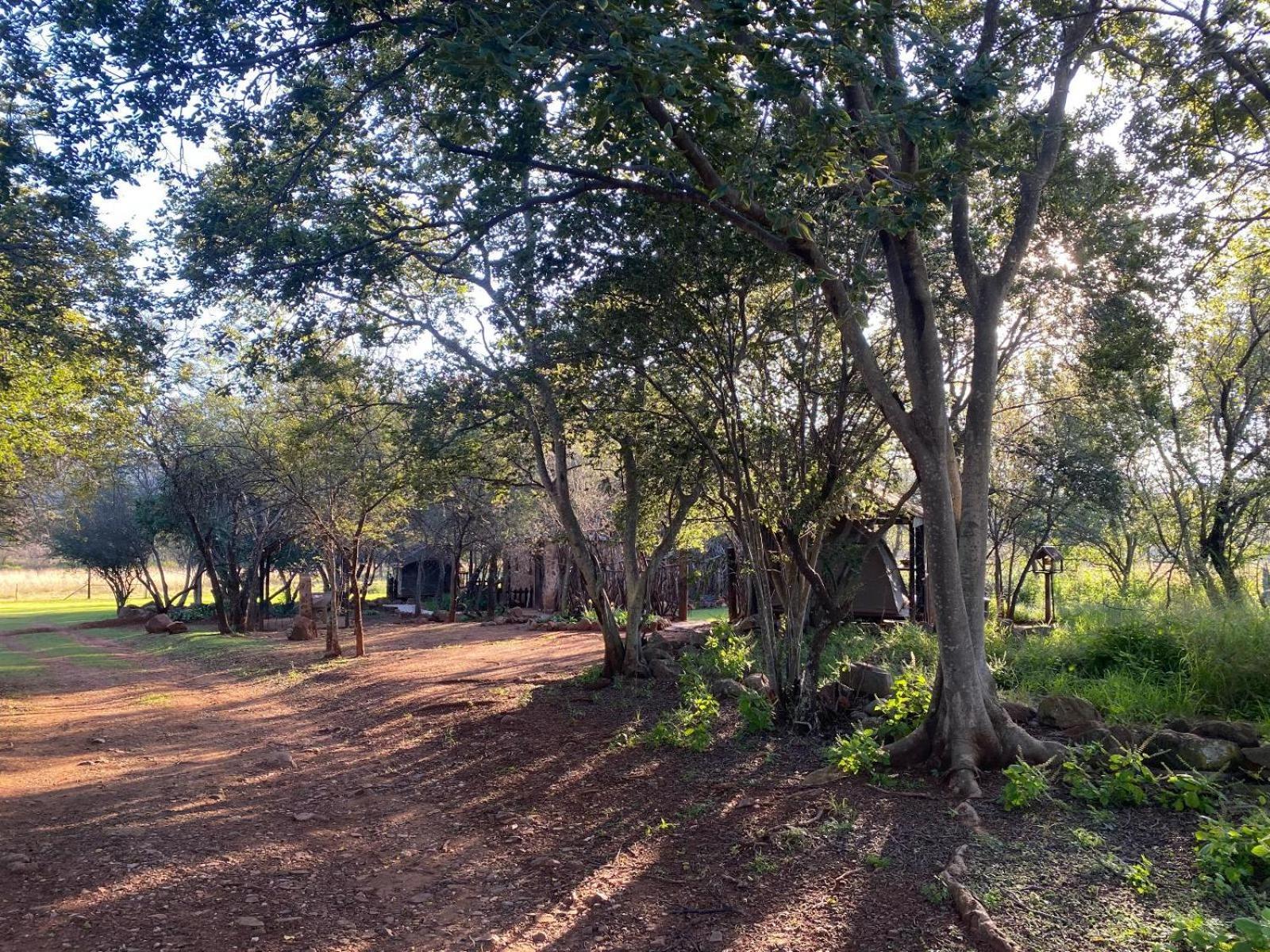 Soetvlei Tented Camp Campismo de Luxo *